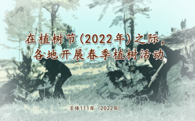 在植树节(2022年)之际，各地开展春季植树活动