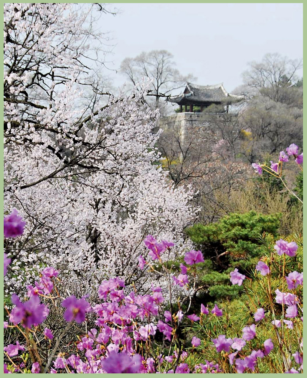 牡丹峰