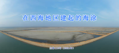 在西海地区建起的海涂