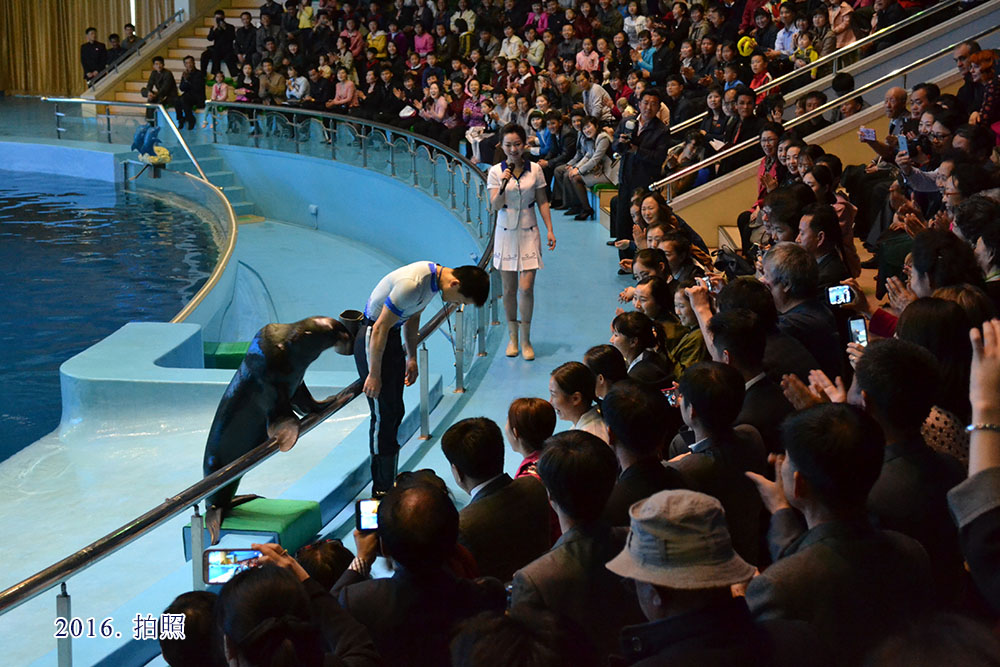 国际性艺术节 四月之春友谊艺术节(2)