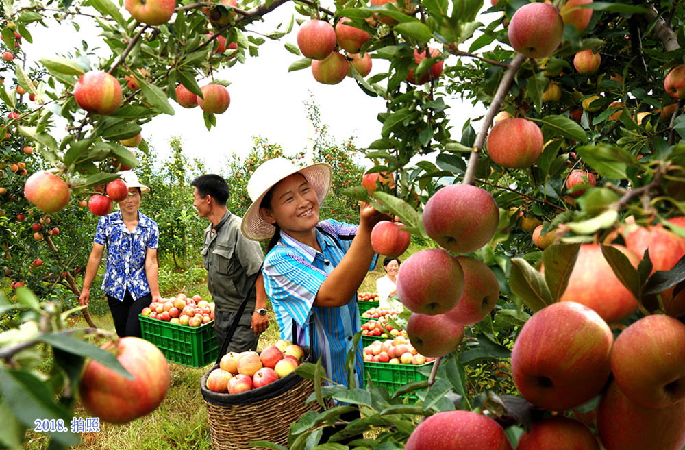 朝鲜女人的工作面貌(1)