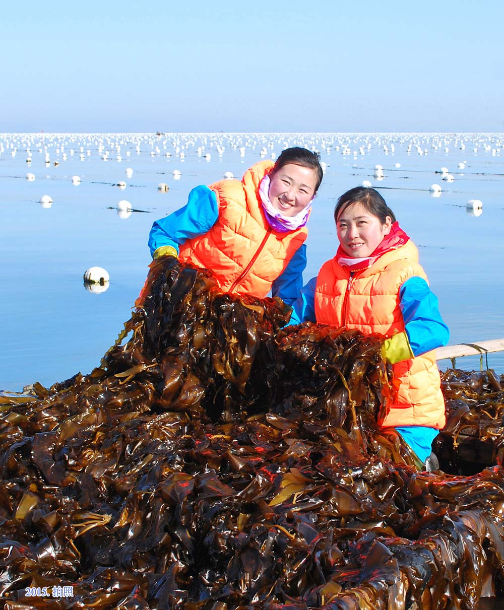 朝鲜女人的工作面貌(1)