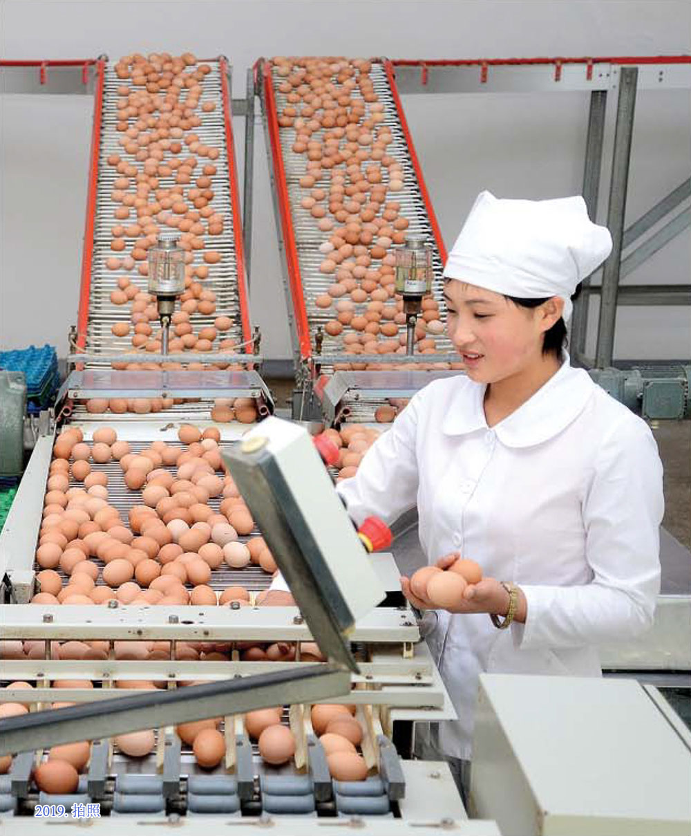 朝鲜女人的工作面貌(1)