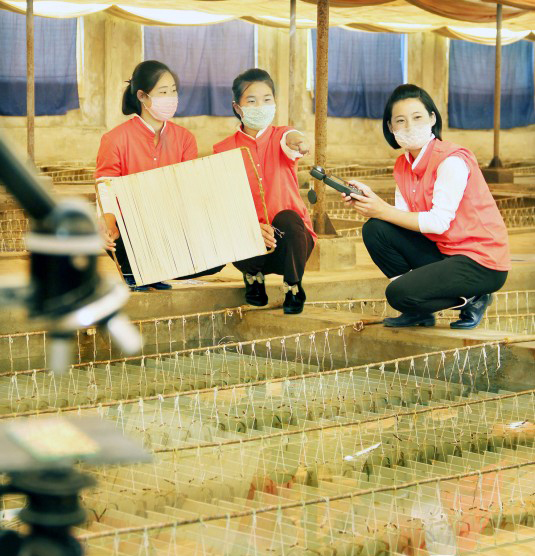 朝鲜女人的工作面貌(1)