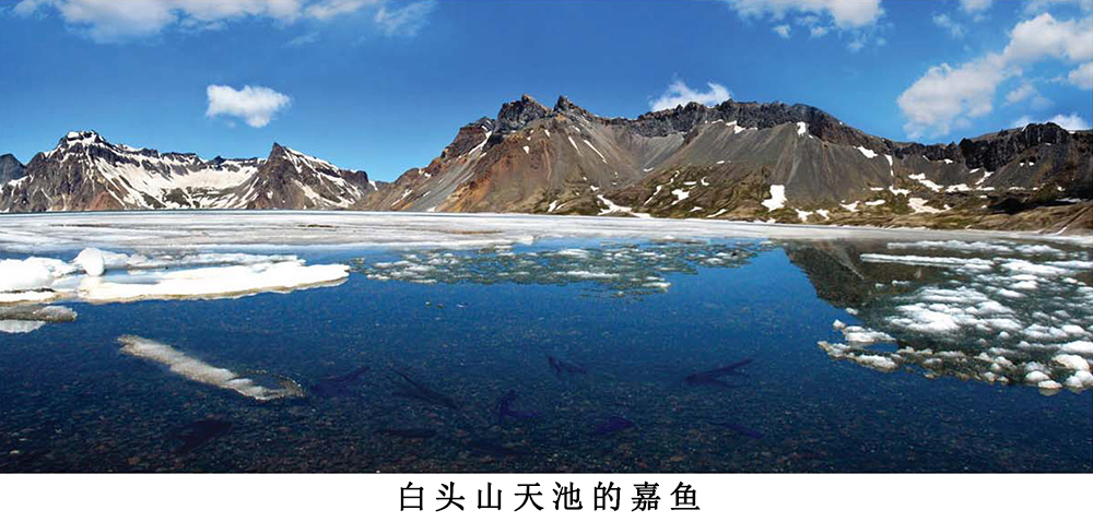 凝聚着朝鲜民族的精神和气魄的祖宗山白头山