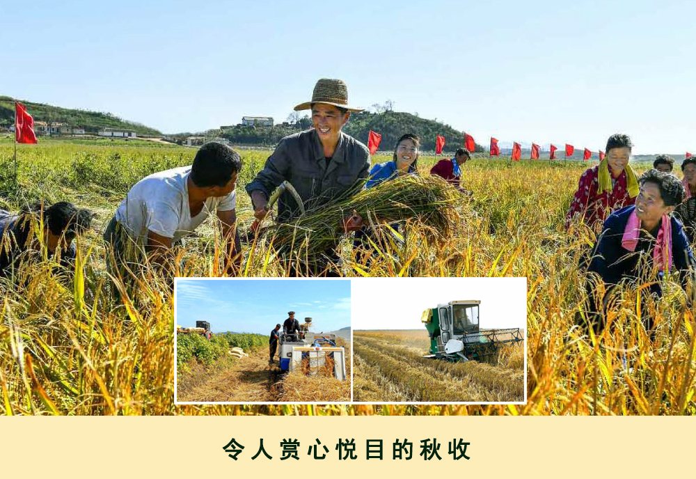通过相片看到的2019年