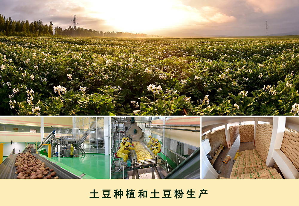 通过相片看到的2019年