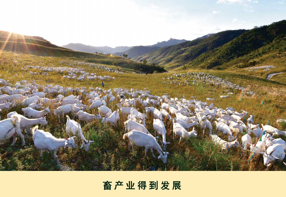 通过相片看到的2019年