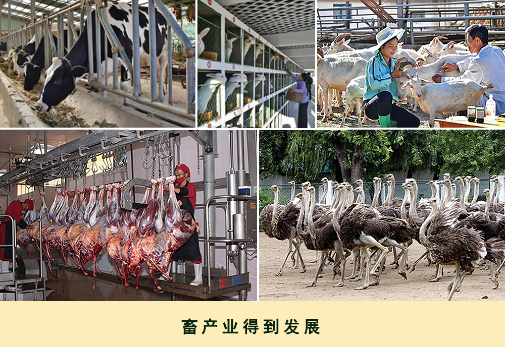 通过相片看到的2019年