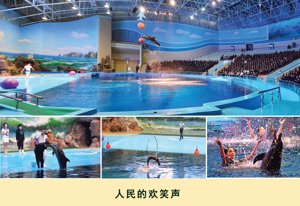 通过相片看到的2019年