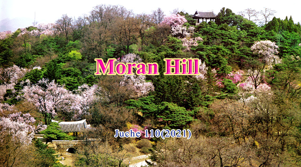 Moran Hill