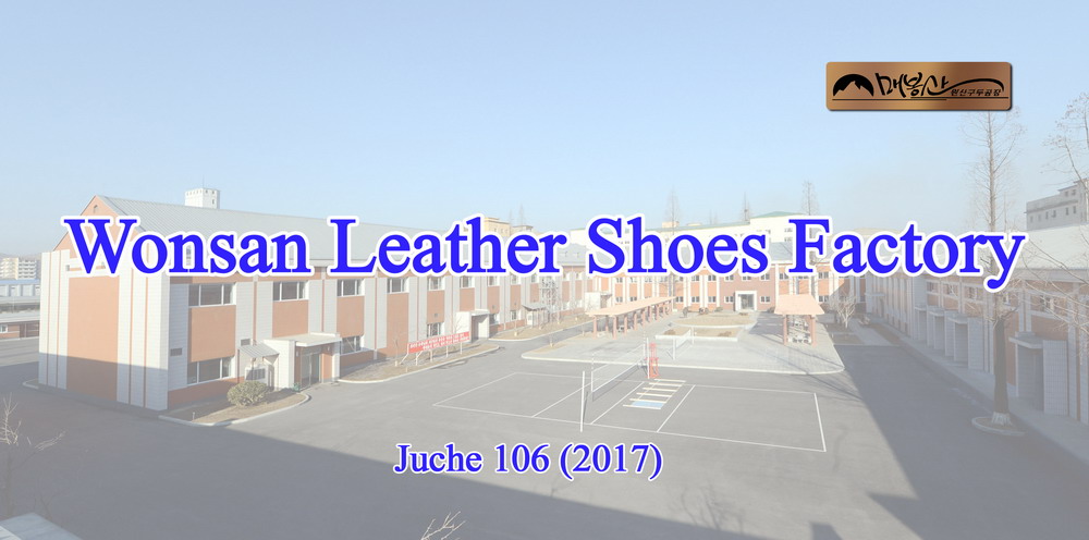 Wonsan Leather Shoes Factory