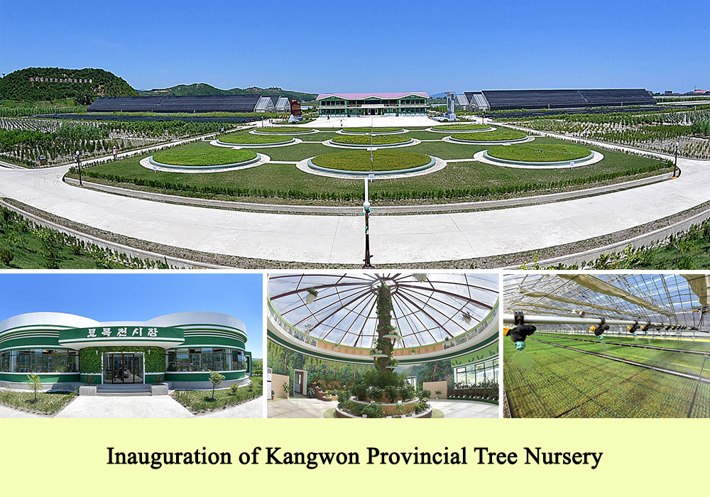Looking back Successes of the DPRK in 2018 through Pictures