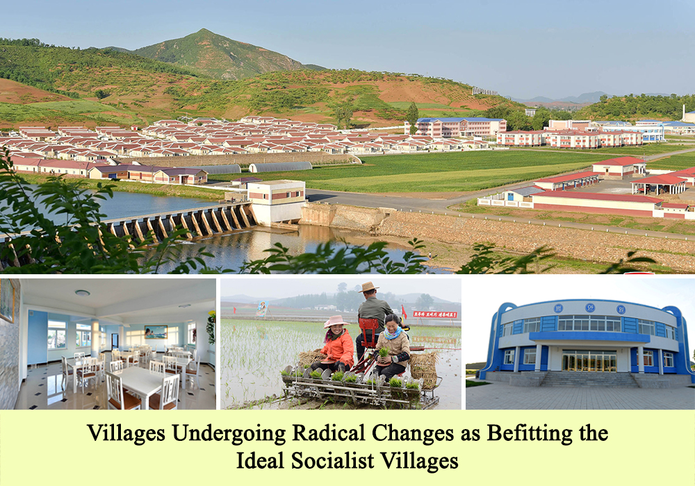Looking back Successes of the DPRK in 2018 through Pictures