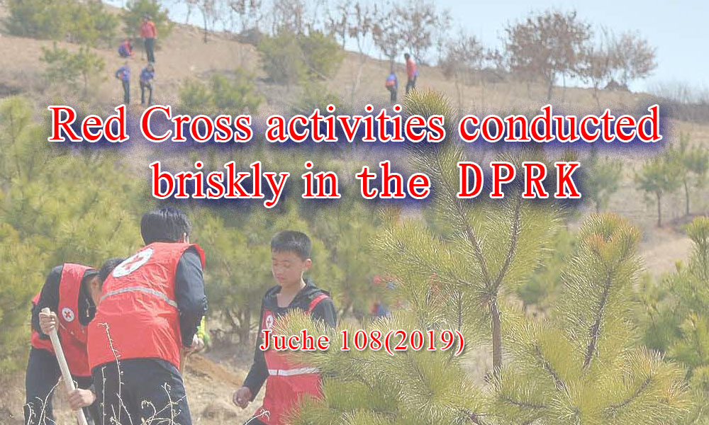 Red Cross activities conducted briskly in the DPRK