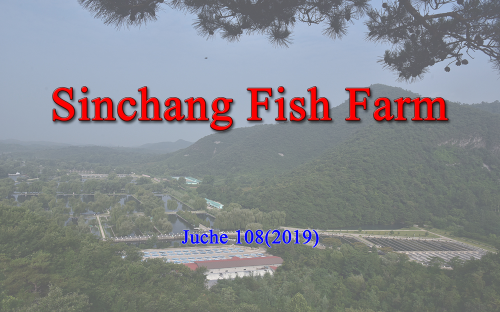 Sinchang Fish Farm