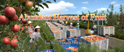 Abundant harvest of fruit