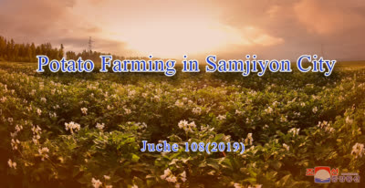 Potato Farming in Samjiyon City