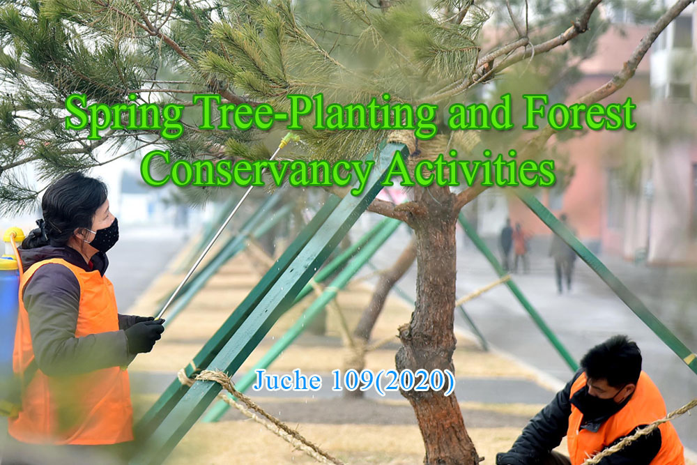 Spring Tree-Planting and Forest Conservancy Activities