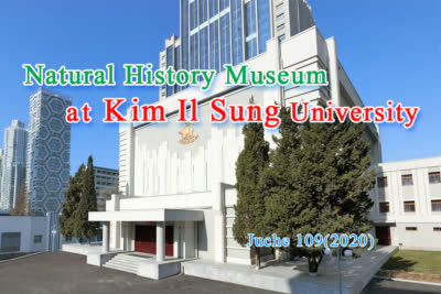 Natural History Museum at Kim Il Sung University