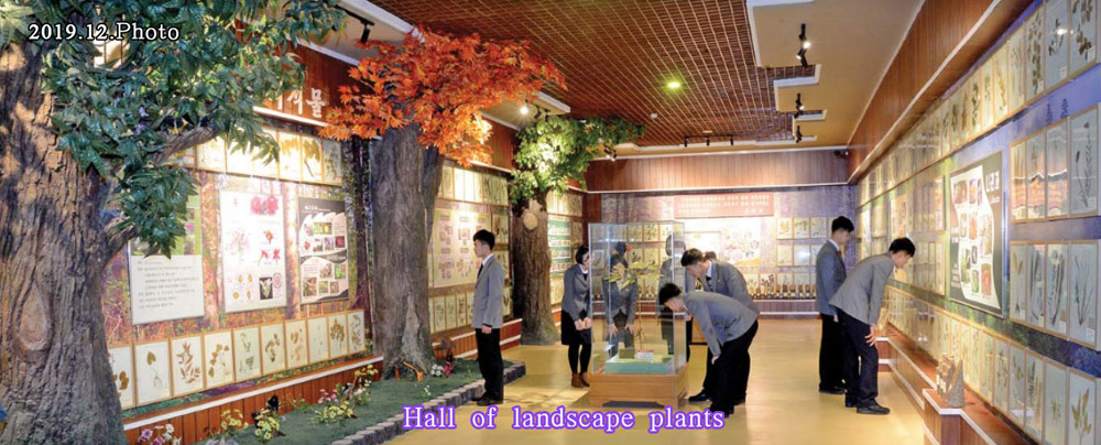 Natural History Museum at Kim Il Sung University
