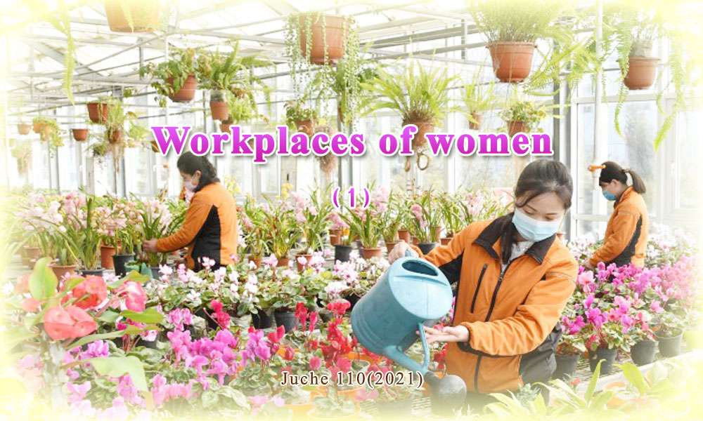 Workplaces of women(1)