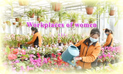 Workplaces of women(1)