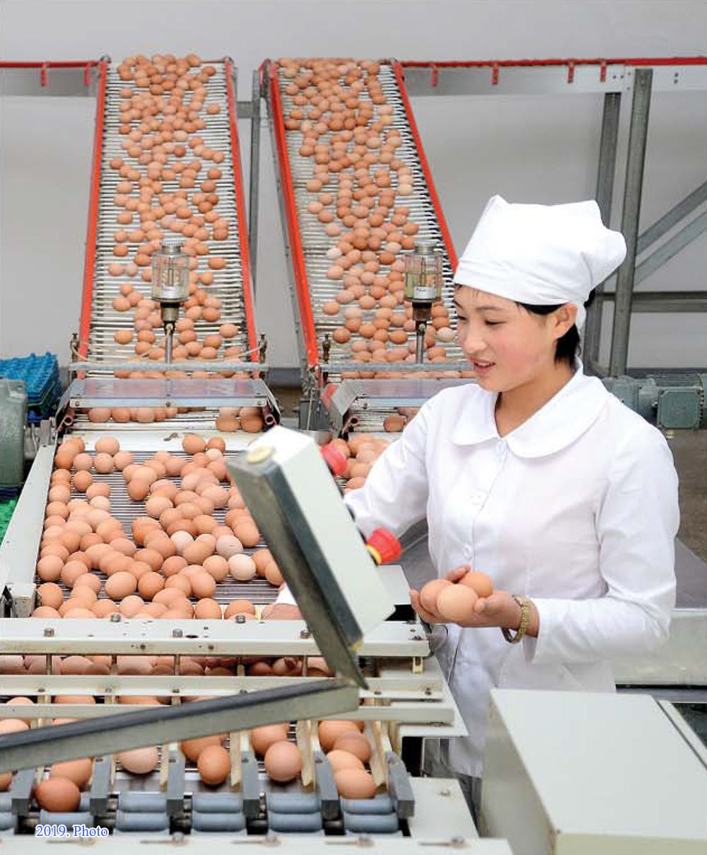 Workplaces of women(1)