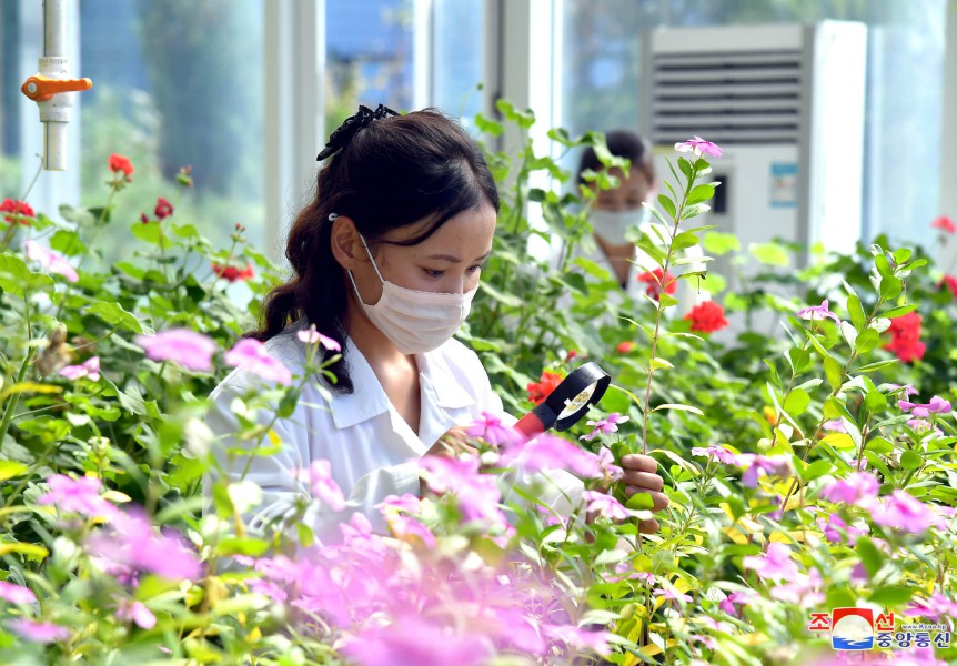 Workplaces of women(1)
