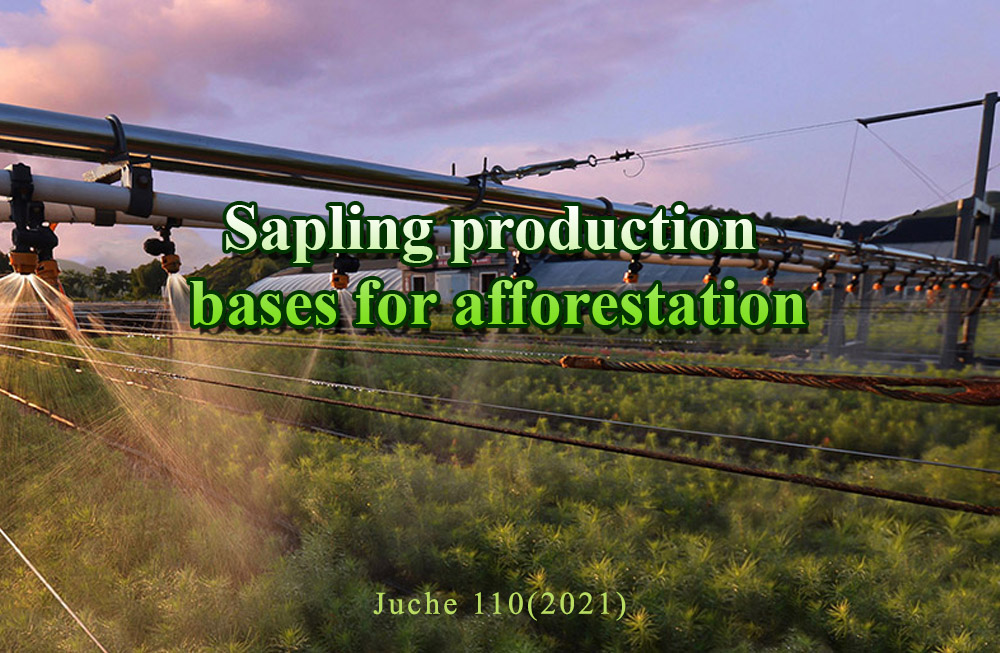 Sapling production bases for afforestation