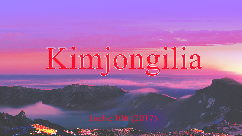 Kimjongilia