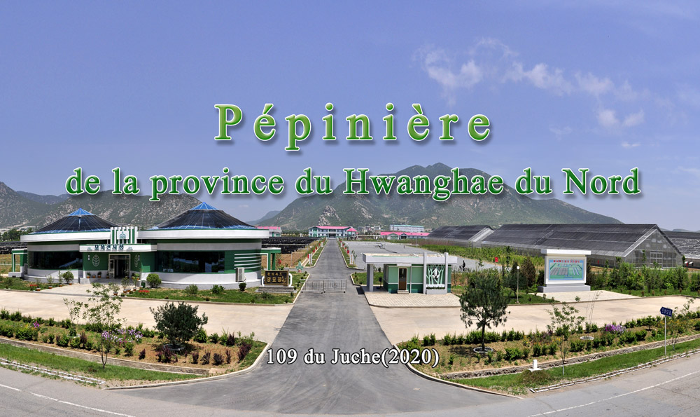 Pépinière de la province du Hwanghae du Nord