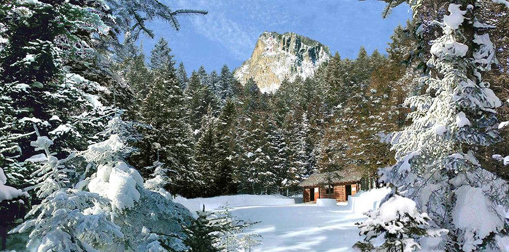 Regrettant le Général Kim Jong Il