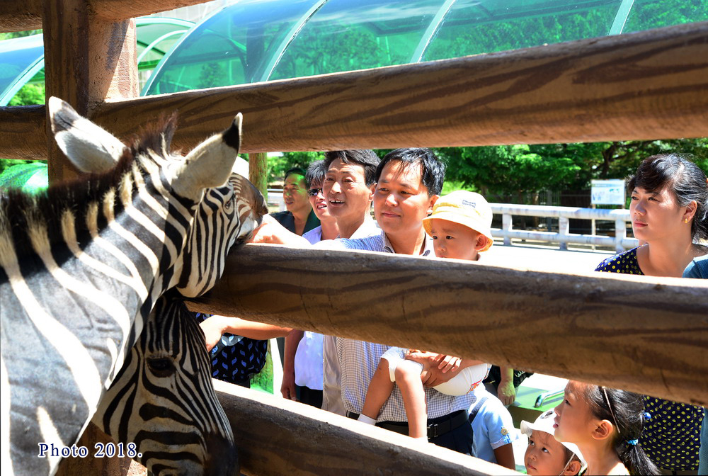 La vie quotidienne(3)