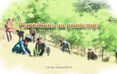 Plantations au printemps