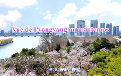 vue de Pyongyang au printemps