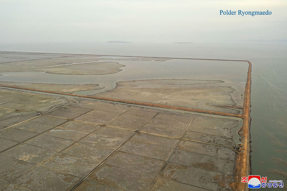 Polders dans la région de la mer de l’Ouest