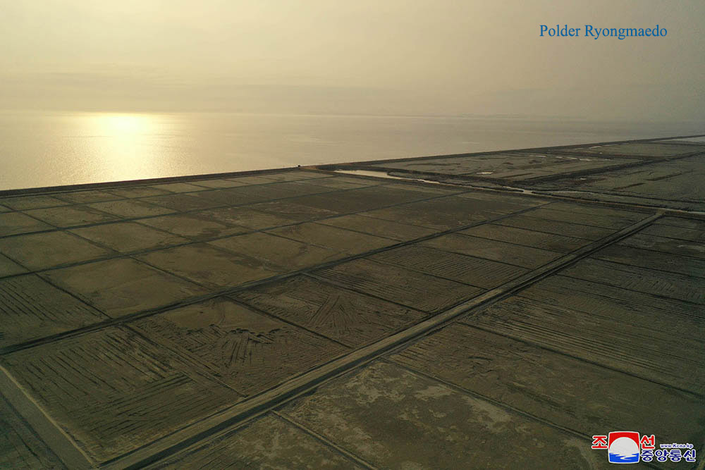 Polders dans la région de la mer de l’Ouest