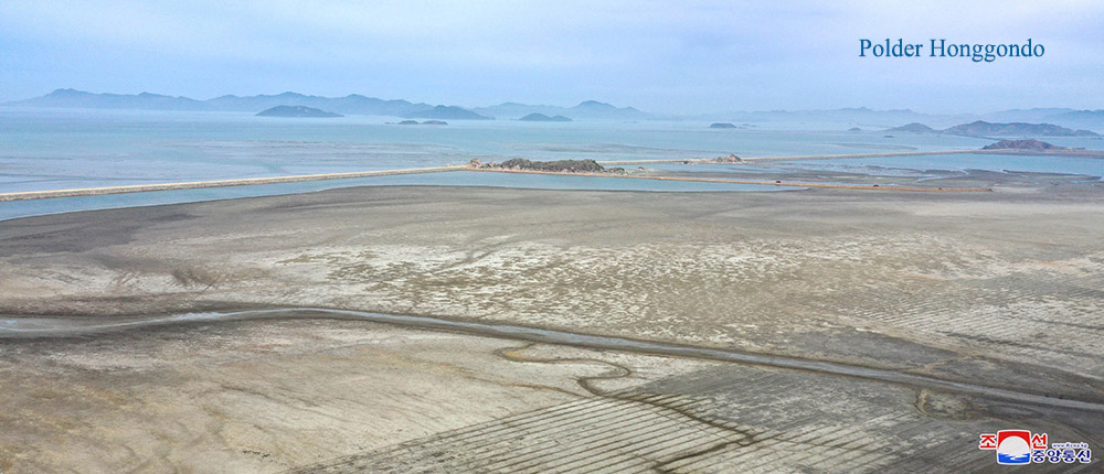 Polders dans la région de la mer de l’Ouest