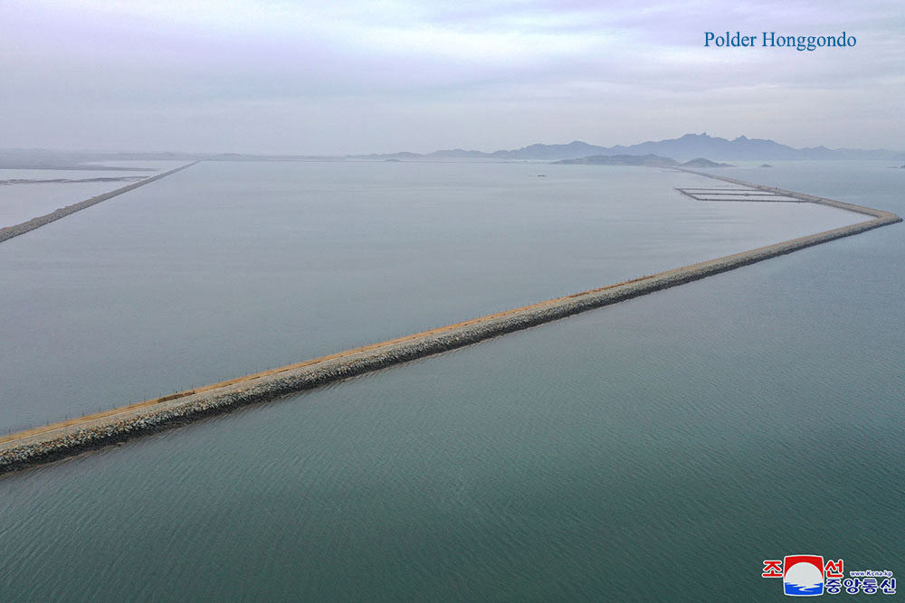 Polders dans la région de la mer de l’Ouest