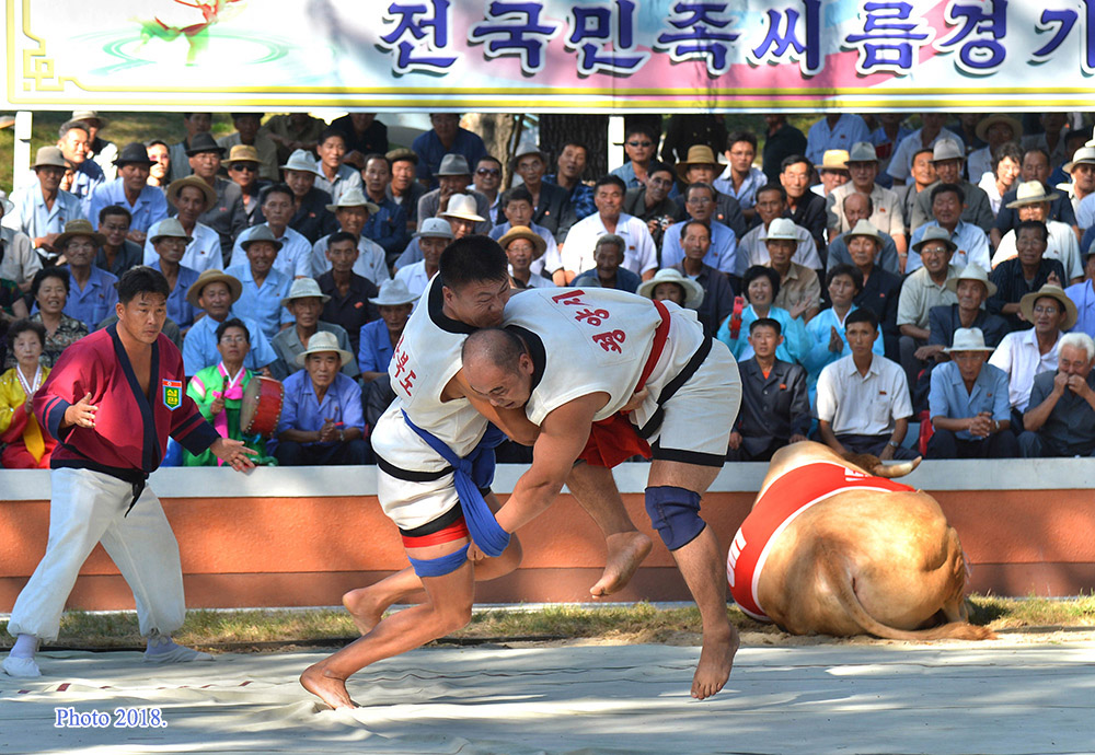 Sirum, lutte coréenne traditionnelle