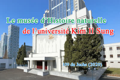 Le musée d’Histoire naturelle de l’universitéKim Il Sung