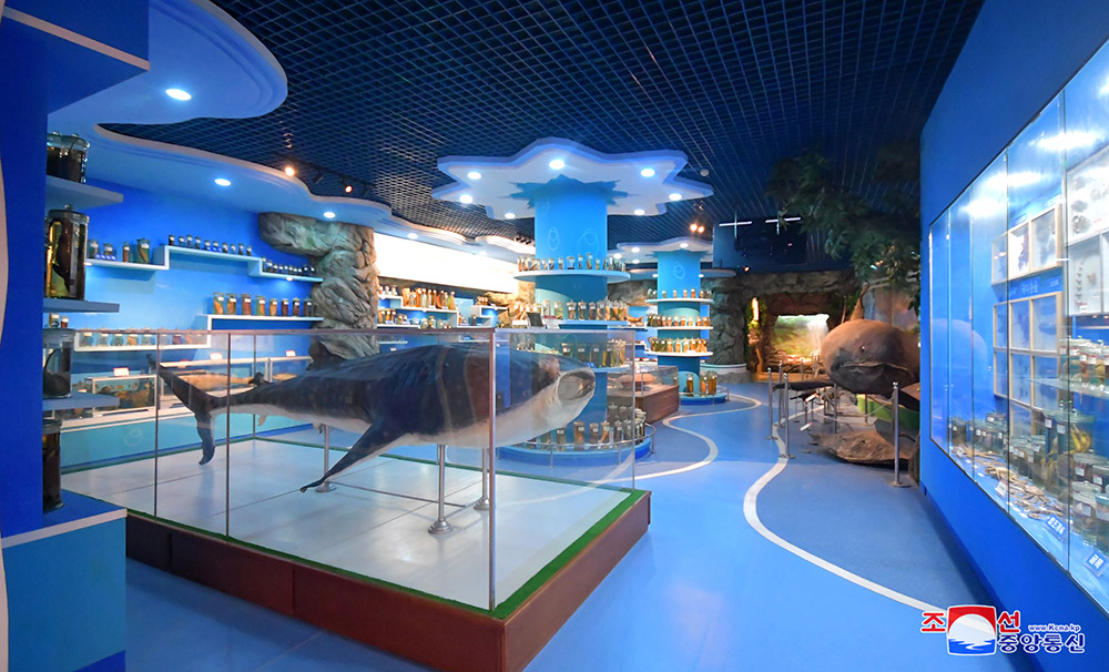 Le musée d’Histoire naturelle de l’universitéKim Il Sung