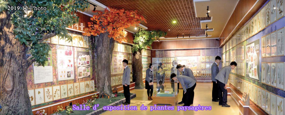 Le musée d’Histoire naturelle de l’universitéKim Il Sung