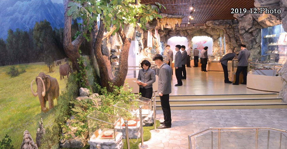Le musée d’Histoire naturelle de l’universitéKim Il Sung