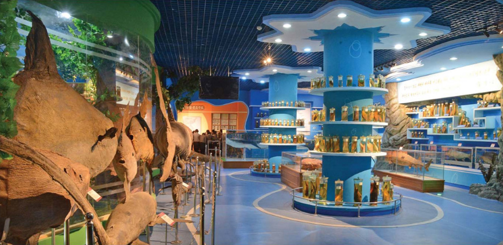 Le musée d’Histoire naturelle de l’universitéKim Il Sung