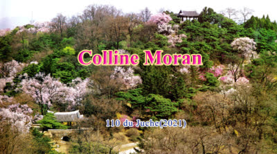 Colline Moran