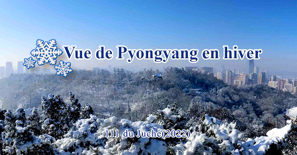 Vue de Pyongyang en hiver