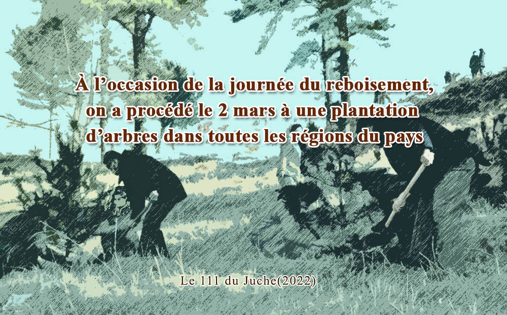 À l’occasion de la journée du reboisement, on a procédé le 2 mars à une plantation d’arbres dans toutes les régions du pays