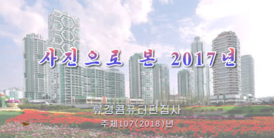 사진으로 본 2017년